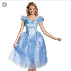 Cinderella Halloween costume